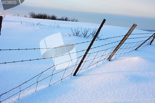 Image of Winter fence