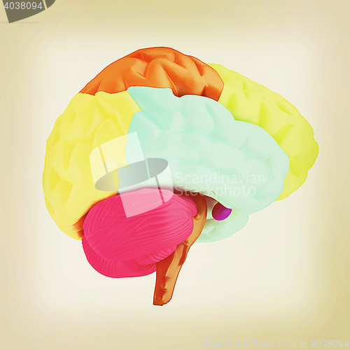 Image of Colorfull human brain. 3D illustration. Vintage style.