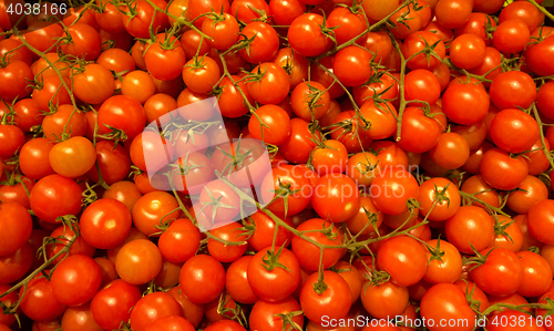 Image of many small cherry tomatoes in the market