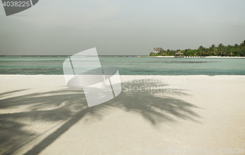 Image of maldives island beach with palm tree and villa