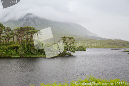 Image of view to island in lake or river at ireland