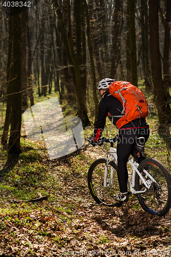 Image of Cyclist Riding the Bike on a Trail in Summer Forest