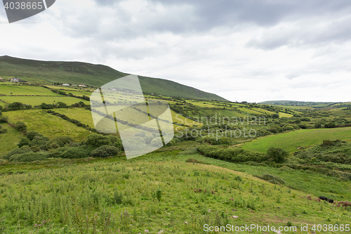 Image of farmland fields at wild atlantic way in ireland