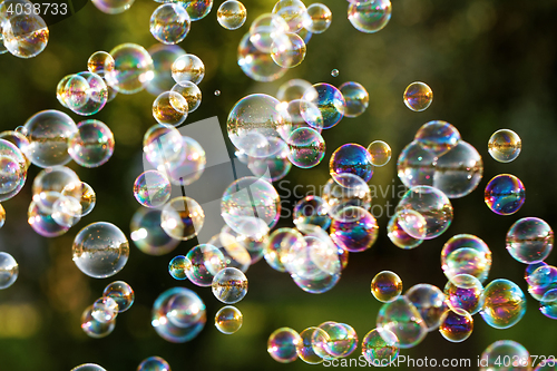 Image of Soap bubbles