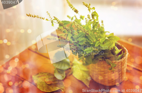 Image of close up of melissa in basket on wooden table