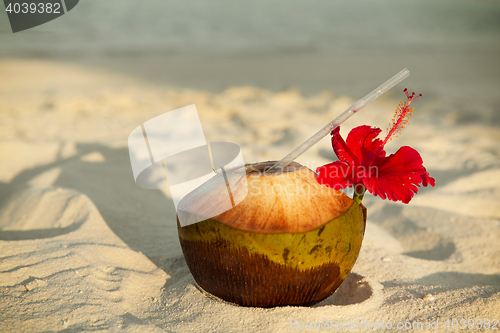 Image of coconut drink on exotic tropical maldives beach