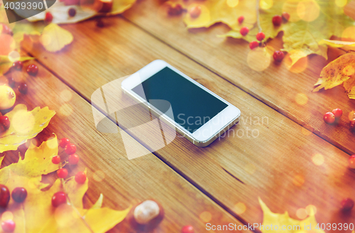 Image of smartphone with autumn leaves, fruits and berries