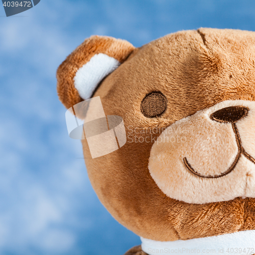 Image of Lovely Teddy Bear