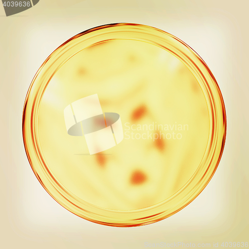 Image of Golden Web button isolated on white background. 3D illustration.