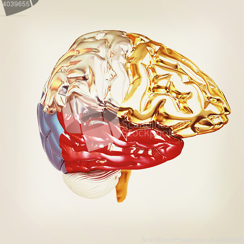 Image of Colorfull human brain. 3D illustration. Vintage style.