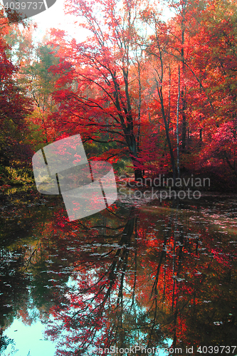 Image of slow autumn river