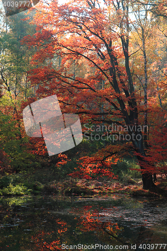 Image of slow autumn river