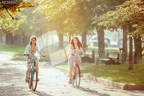 Image of The two young girls with bicycles in park