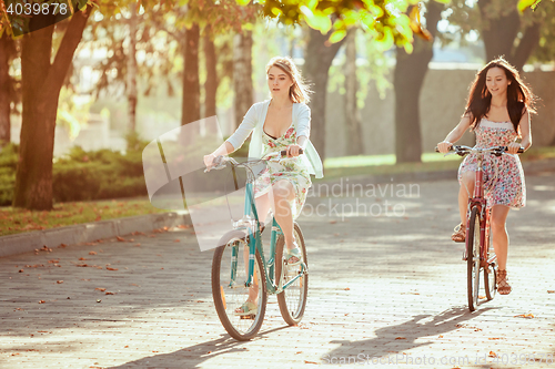 Image of The two young girls with bicycles in park