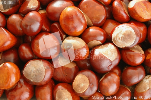 Image of Chestnuts