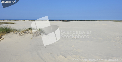 Image of Sand dune