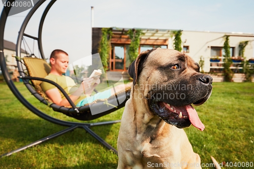 Image of Man with dog on the garden