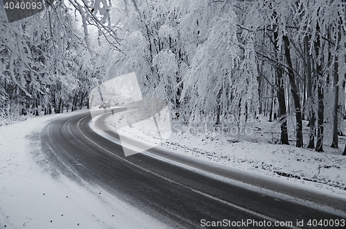 Image of Winter Road Turns