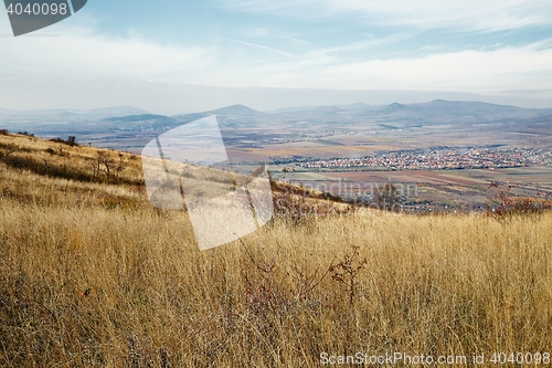 Image of Dry autumn meadow