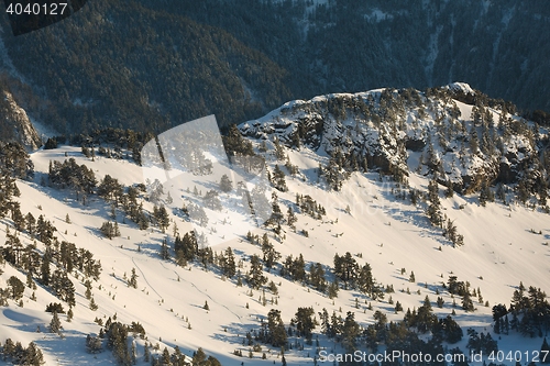 Image of Skiing slopes from the top