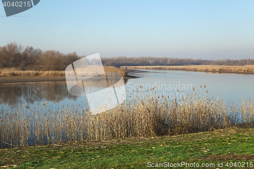 Image of Lakeside autumn landscape