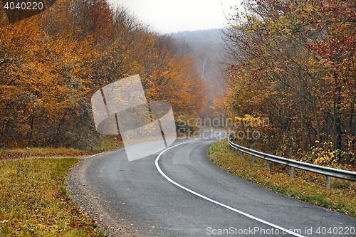 Image of Autumn Road