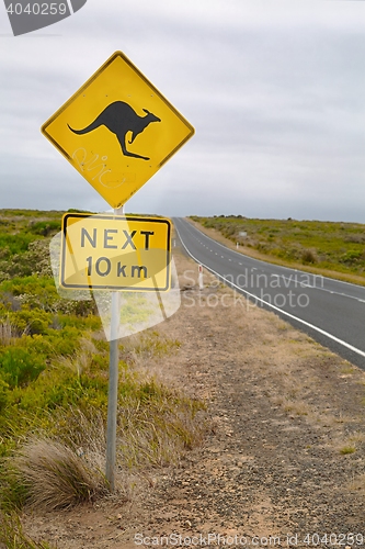 Image of Kangaroo warning sign