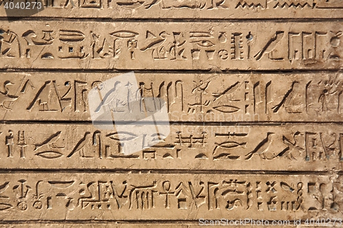 Image of Ancient Hieroglyphic Script