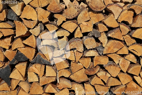 Image of Log Pile Closeup