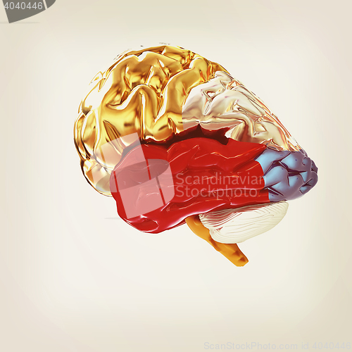 Image of Colorfull human brain. 3D illustration. Vintage style.