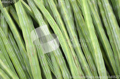 Image of Drumstick Vegetable or Moringa