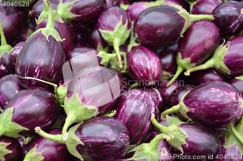 Image of Raw ripe Eggplant