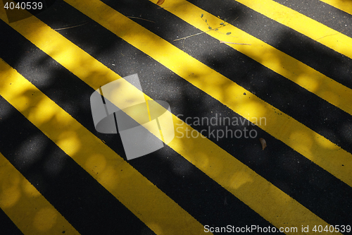 Image of Yellow and black marking