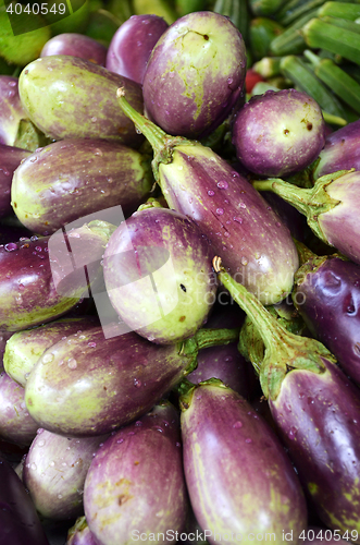 Image of Raw ripe Eggplant