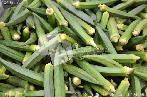 Image of Raw green Okra