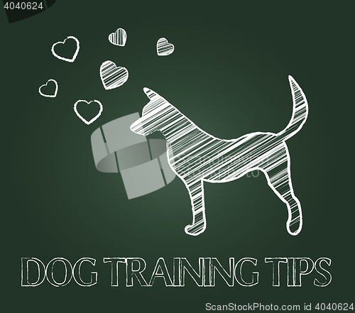 Image of Dog Training Tips Shows Instruction Skills And Coaching