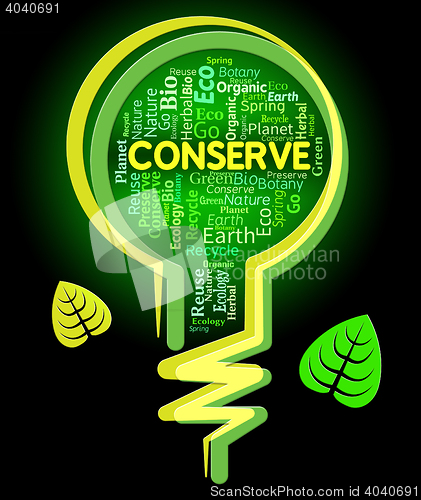 Image of Conserve Lightbulb Shows Sustainable Conserving And Protecting