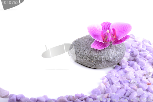 Image of Spa accessories on the light background