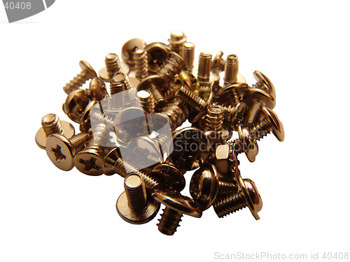 Image of Screw 2