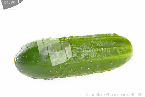 Image of Vegetables, Cucumber