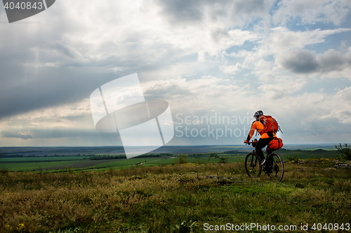 Image of Young man cycling on a rural road through green meadow