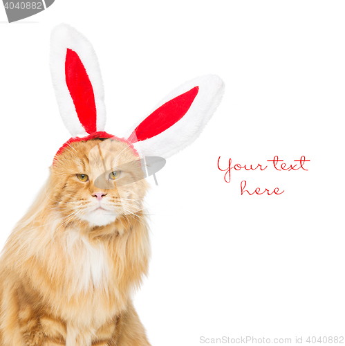 Image of Big ginger cat in christmas rabbit ears head rim