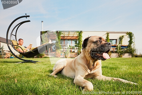 Image of Man with dog on the garden