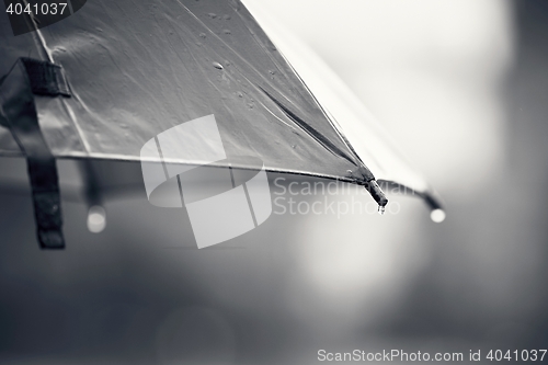 Image of Umbrella during rain
