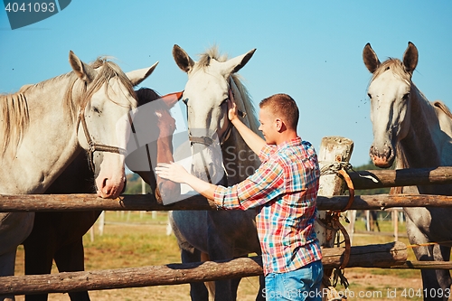 Image of Man with horses