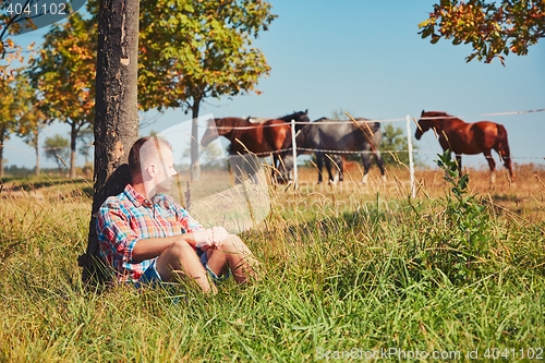 Image of Summer time in nature