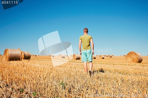 Image of Cornfield after harvest