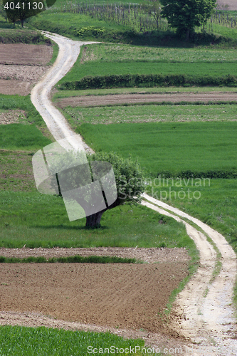 Image of Winding road