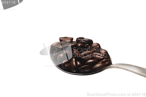 Image of coffee beans on spoon