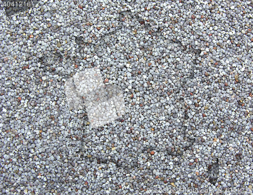 Image of Land with various backgrounds